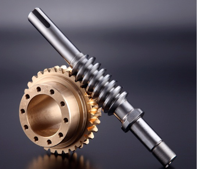 Precision Worm Gear